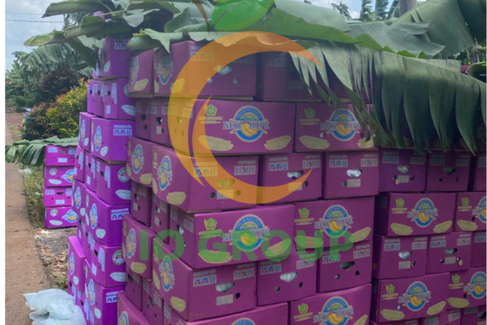 thiết kế chưa có tên (2)