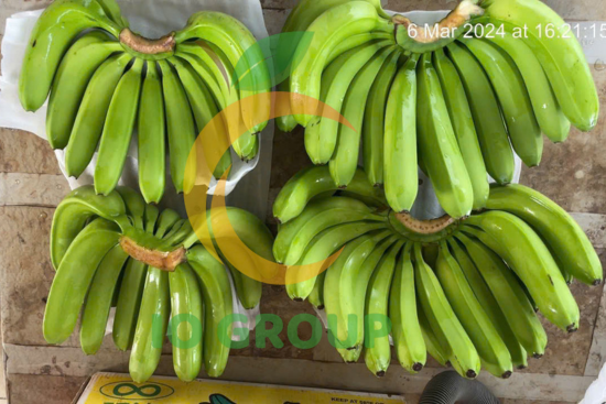 thiết kế chưa có tên (3)