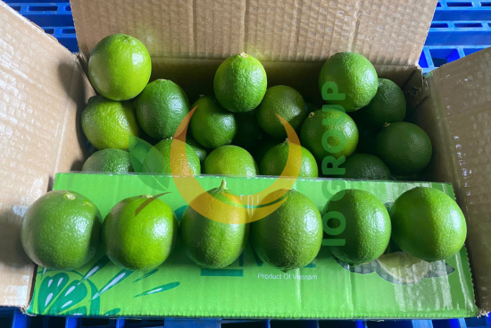 thiết kế chưa có tên (4)