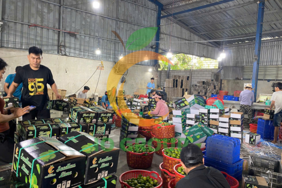 thiết kế chưa có tên (5)