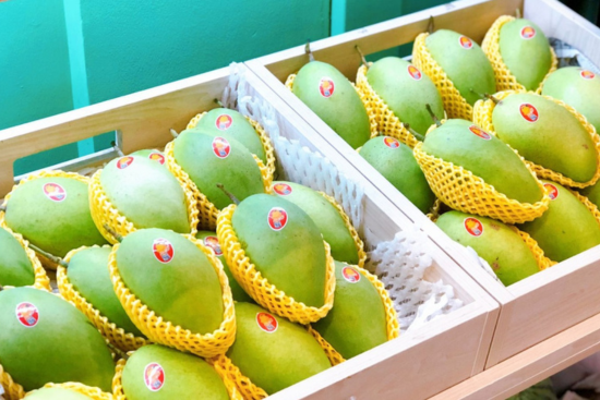 thiết kế chưa có tên (6)